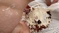 preview pic messygirlblowjobs.com